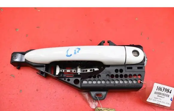 Renault Zoe Front door exterior handle 806077201R