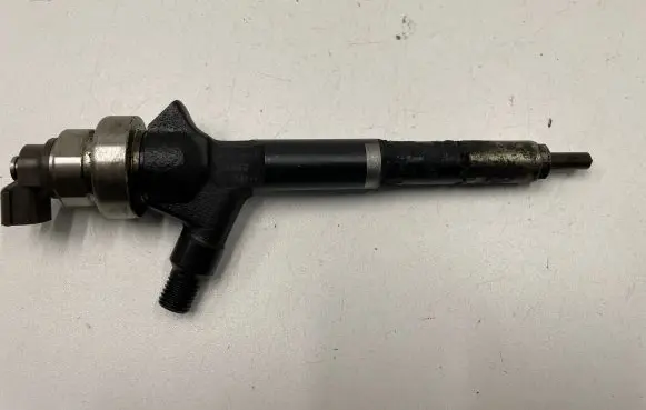 Nissan Pathfinder R51 Fuel injector 8973762703 53044