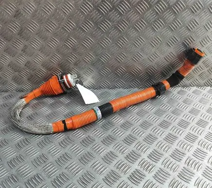 Other wiring loom