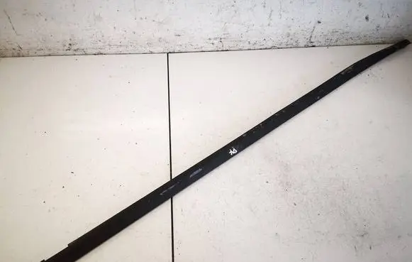 Citroen C5 Front door glass trim molding