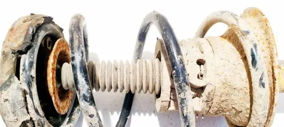 Renault Scenic I Front coil spring