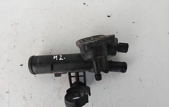 Thermostat/thermostat housing
