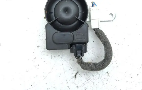 Alarm system siren
