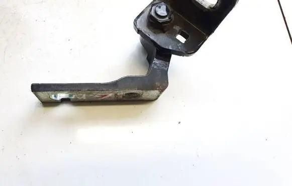 Ford Focus Rear door lower hinge