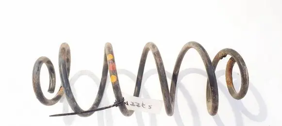 Rear coil spring
