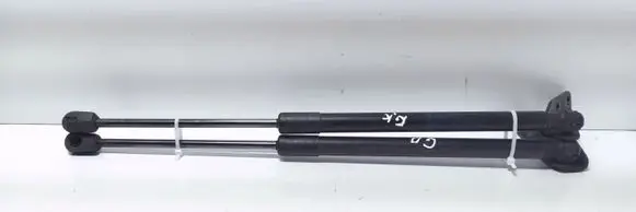 Suzuki SX4 Tailgate/trunk strut/damper