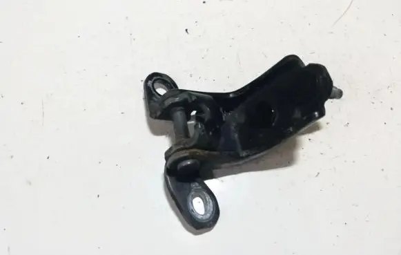 Hyundai Santa Fe Rear door lower hinge