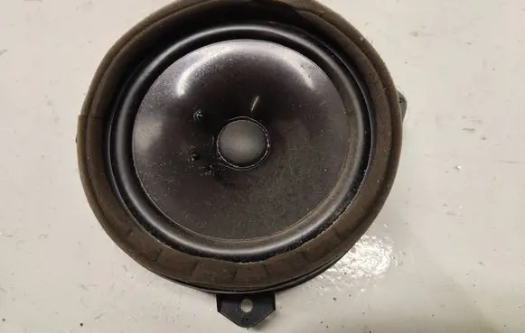 Front door speaker