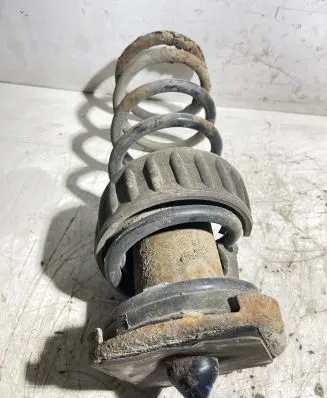 Rear coil spring