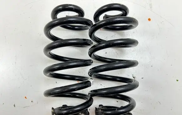 Rear coil spring