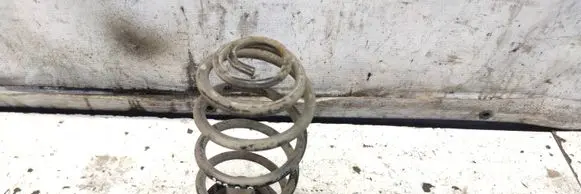 Rear coil spring