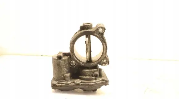 Throttle body valve