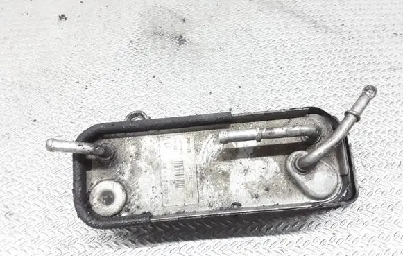 Mercedes-Benz C W203 Fuel cooler (radiator) A6120700079