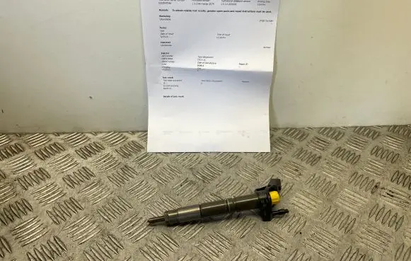 Mercedes-Benz E W211 Fuel injector A6420701387 0445115064