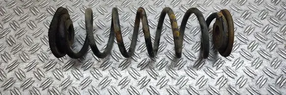 Rear coil spring