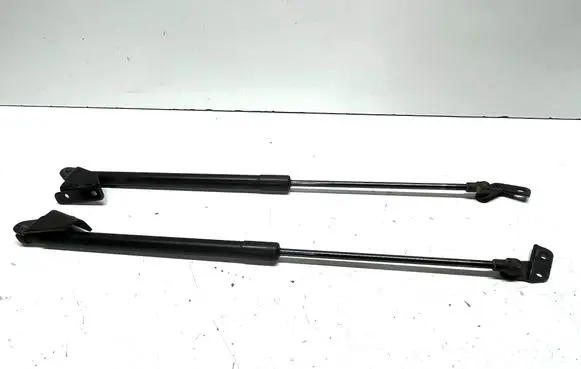Nissan Qashqai Tailgate/trunk strut/damper 90450JD01B