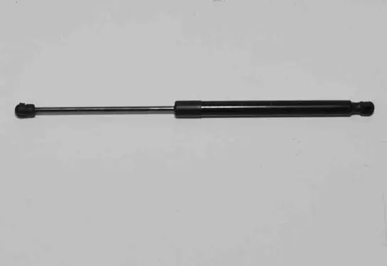 Tailgate/trunk strut/damper