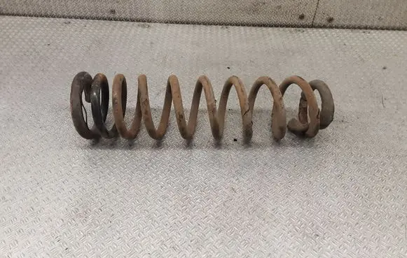 Rear coil spring
