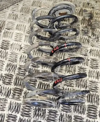 Rear coil spring