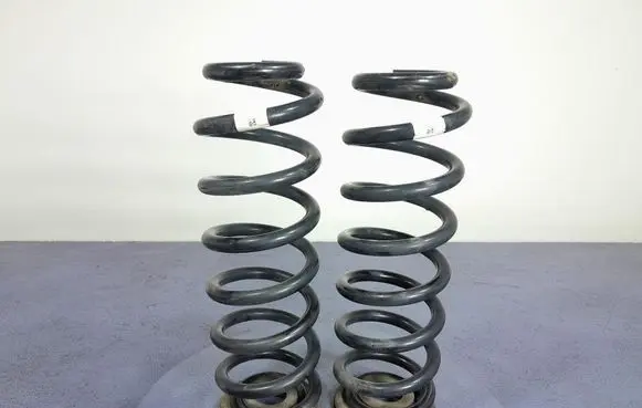 Rear coil spring