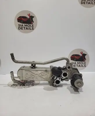 Volkswagen Polo V 6R EGR valve 117255 571822112070 EV070