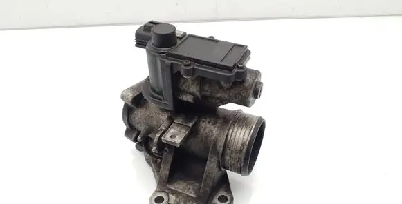 EGR valve