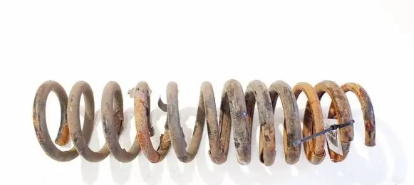 Rear coil spring