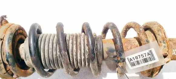 Rear coil spring