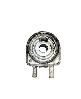 Peugeot 206 Engine oil radiator 9637319180 865637W