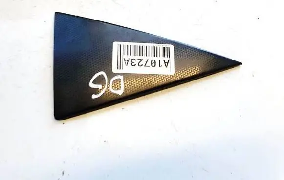 Other rear door trim element