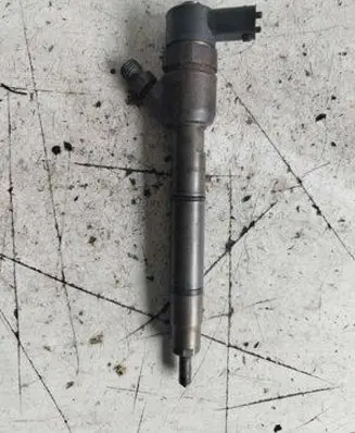 Hyundai i30 Fuel injector 0445110256