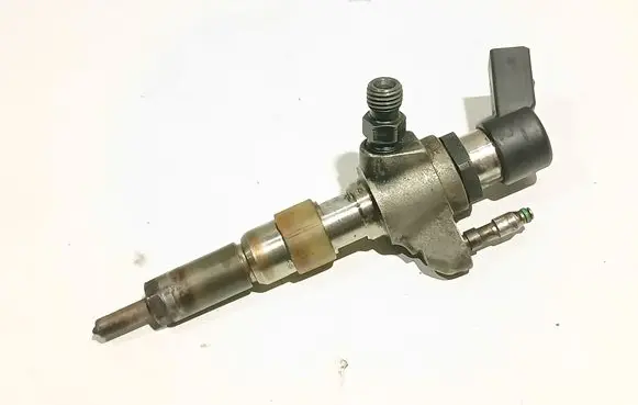 Citroen C4 Grand Picasso Fuel injector 9674973080
