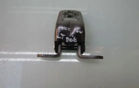 Nissan Juke I F15 Rear door lower hinge