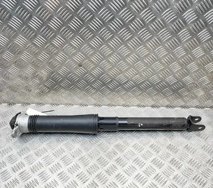 BYD Atto 3 Rear shock absorber/damper SC2EE2915