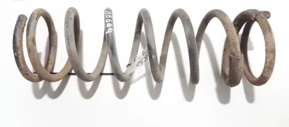 Ford Focus Rear coil spring