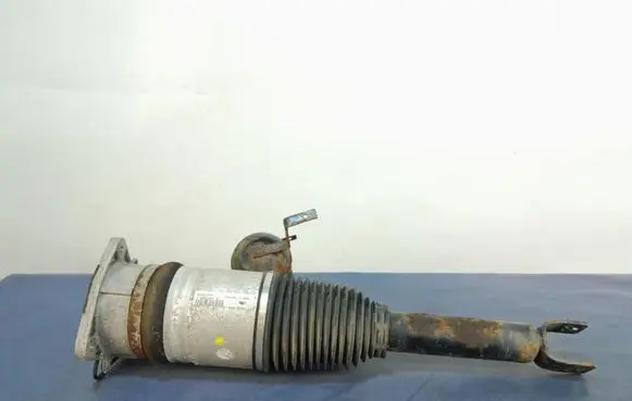 Audi A8 S8 D3 4E Rear shock absorber/damper 4E0616001F