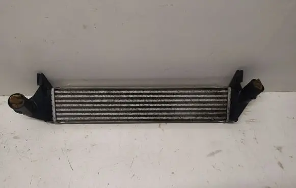 Renault Kangoo II Intercooler radiator 8200409045