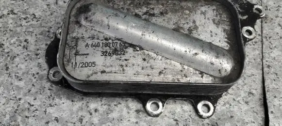 Mercedes-Benz A W169 Engine oil radiator a6401800765