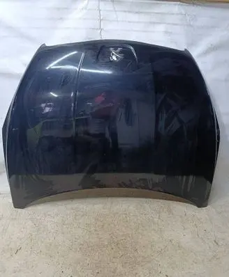 Engine bonnet/hood