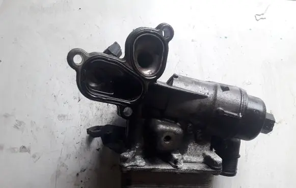 Renault Laguna III Oil filter mounting bracket