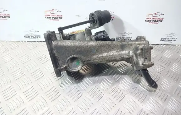 Opel Insignia A Thermostat/thermostat housing