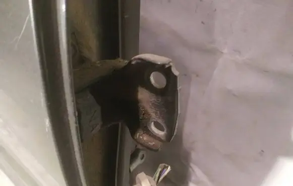 Rear door lower hinge