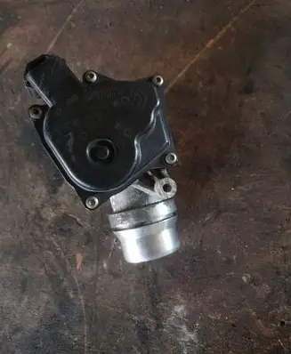 Renault Megane III Throttle valve 8200614985
