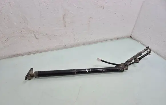 Toyota RAV 4 (XA40) Tailgate/trunk strut/damper 6892042016