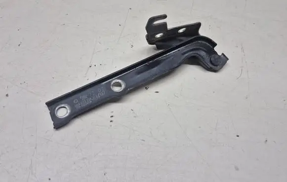Volkswagen Tiguan Engine bonnet/hood hinges 5N0823301
