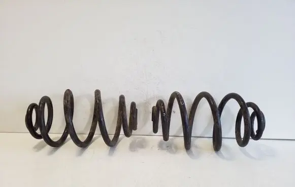Rear coil spring