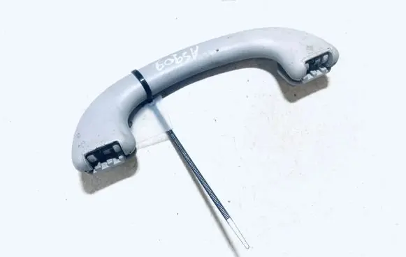 Ford Focus Rear interior roof grab handle