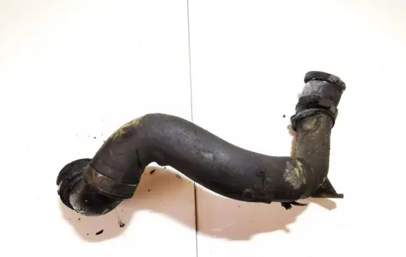 Mercedes-Benz S W220 Engine coolant pipe/hose a6132030015