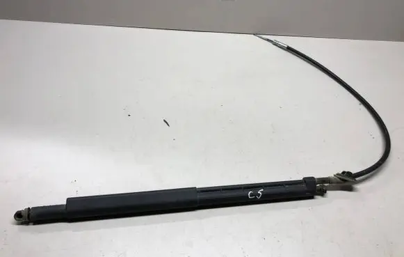 Tailgate strut