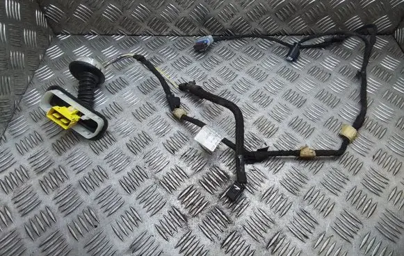 Front door wiring loom